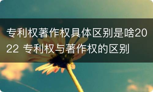 专利权著作权具体区别是啥2022 专利权与著作权的区别