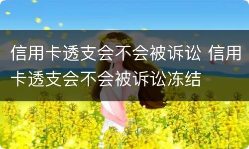信用卡透支会不会被诉讼 信用卡透支会不会被诉讼冻结