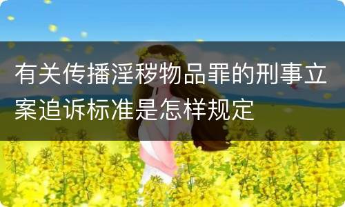 有关传播淫秽物品罪的刑事立案追诉标准是怎样规定