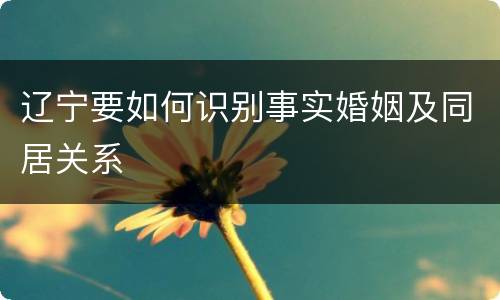 辽宁要如何识别事实婚姻及同居关系