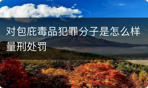 对包庇毒品犯罪分子是怎么样量刑处罚