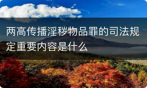 两高传播淫秽物品罪的司法规定重要内容是什么