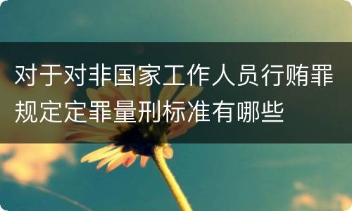 对于对非国家工作人员行贿罪规定定罪量刑标准有哪些