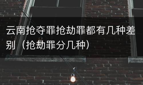 云南抢夺罪抢劫罪都有几种差别（抢劫罪分几种）