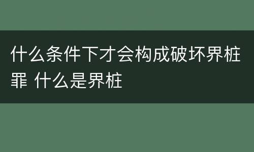 什么条件下才会构成破坏界桩罪 什么是界桩