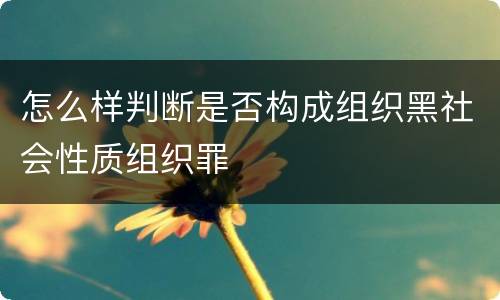 怎么样判断是否构成组织黑社会性质组织罪