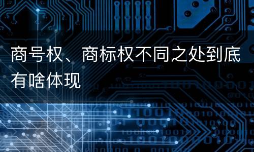 商号权、商标权不同之处到底有啥体现