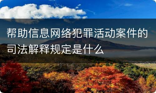 帮助信息网络犯罪活动案件的司法解释规定是什么