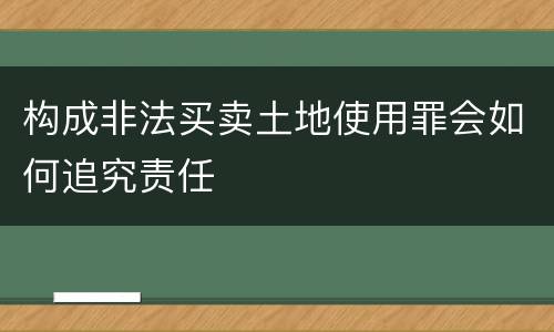 构成非法买卖土地使用罪会如何追究责任
