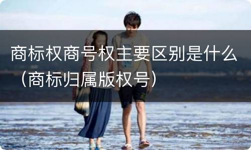 商标权商号权主要区别是什么（商标归属版权号）