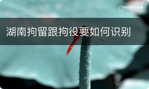 湖南拘留跟拘役要如何识别