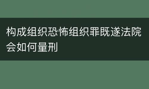 构成组织恐怖组织罪既遂法院会如何量刑