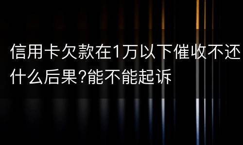 信用卡欠款在1万以下催收不还什么后果?能不能起诉