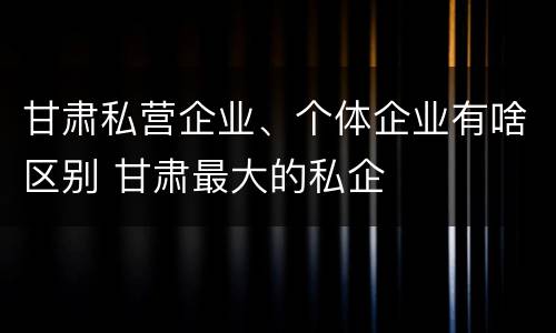 甘肃私营企业、个体企业有啥区别 甘肃最大的私企