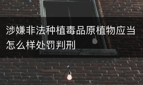 涉嫌非法种植毒品原植物应当怎么样处罚判刑