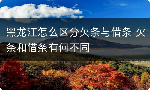 黑龙江怎么区分欠条与借条 欠条和借条有何不同