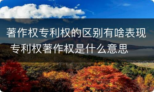 著作权专利权的区别有啥表现 专利权著作权是什么意思