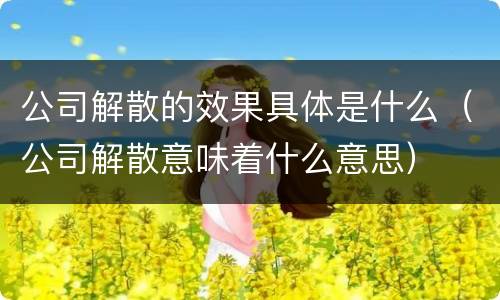 公司解散的效果具体是什么（公司解散意味着什么意思）