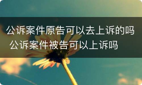 公诉案件原告可以去上诉的吗 公诉案件被告可以上诉吗