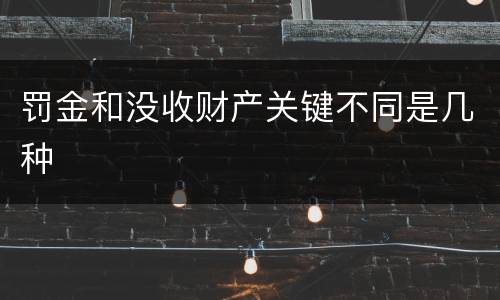 罚金和没收财产关键不同是几种