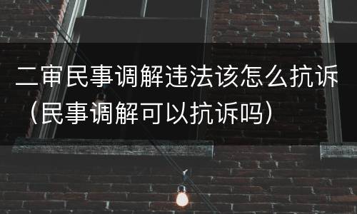 二审民事调解违法该怎么抗诉（民事调解可以抗诉吗）