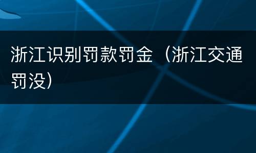 浙江识别罚款罚金（浙江交通罚没）