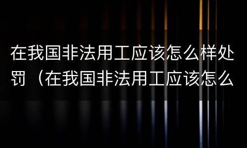 在我国非法用工应该怎么样处罚（在我国非法用工应该怎么样处罚他人）