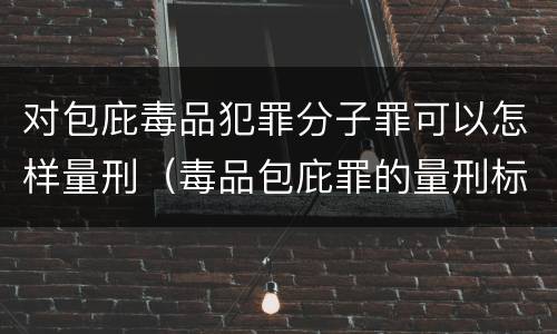 对包庇毒品犯罪分子罪可以怎样量刑（毒品包庇罪的量刑标准）