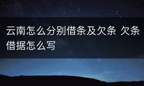 云南怎么分别借条及欠条 欠条借据怎么写