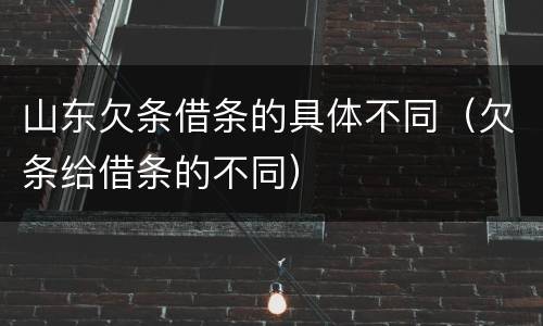 山东欠条借条的具体不同（欠条给借条的不同）