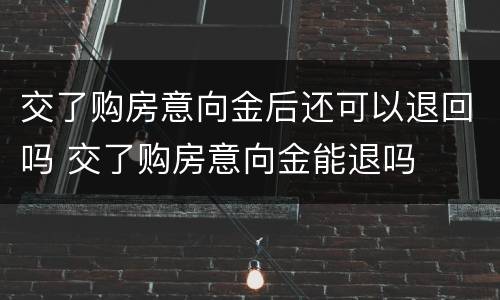 交了购房意向金后还可以退回吗 交了购房意向金能退吗