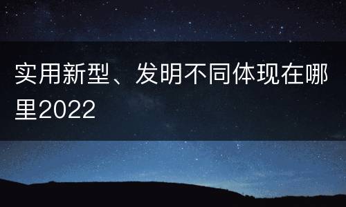 实用新型、发明不同体现在哪里2022