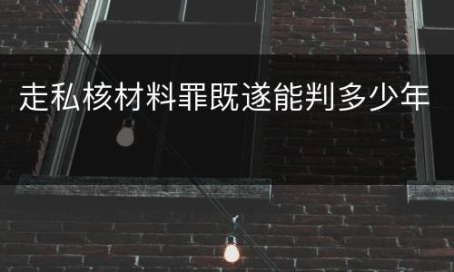 走私核材料罪既遂能判多少年