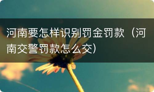 河南要怎样识别罚金罚款（河南交警罚款怎么交）