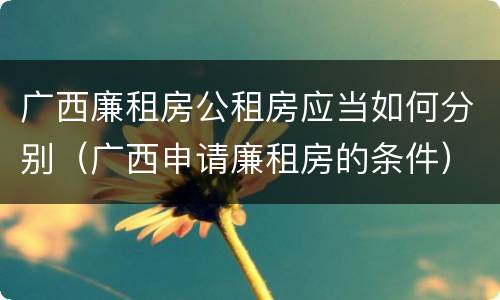 广西廉租房公租房应当如何分别（广西申请廉租房的条件）