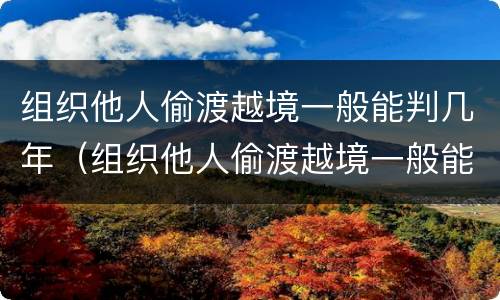 组织他人偷渡越境一般能判几年（组织他人偷渡越境一般能判几年缓刑）