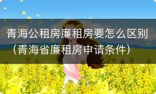 青海公租房廉租房要怎么区别（青海省廉租房申请条件）