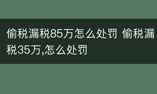 偷税漏税85万怎么处罚 偷税漏税35万,怎么处罚