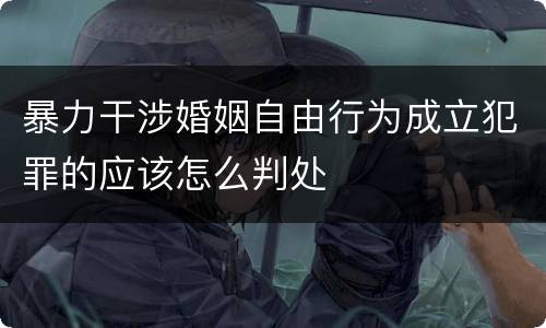 暴力干涉婚姻自由行为成立犯罪的应该怎么判处