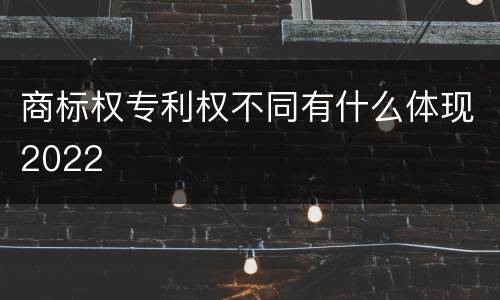 商标权专利权不同有什么体现2022