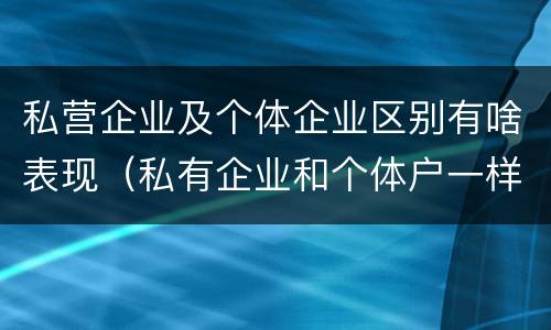 私营企业及个体企业区别有啥表现（私有企业和个体户一样吗）