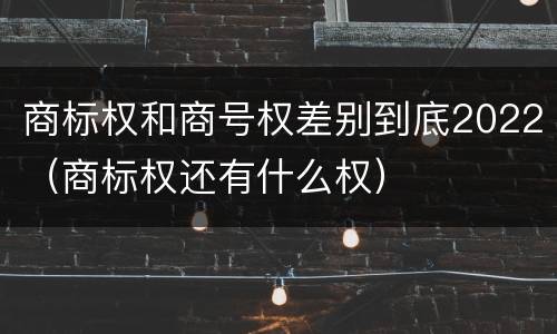 商标权和商号权差别到底2022（商标权还有什么权）