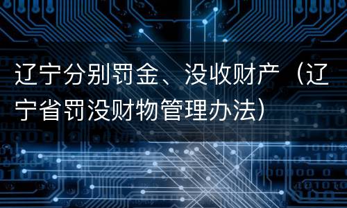 辽宁分别罚金、没收财产（辽宁省罚没财物管理办法）