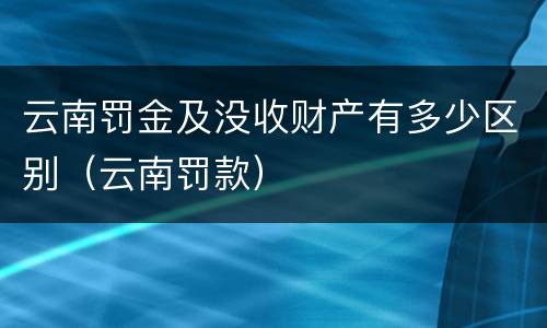 云南罚金及没收财产有多少区别（云南罚款）