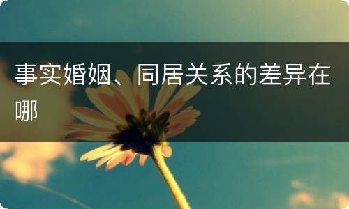 事实婚姻、同居关系的差异在哪