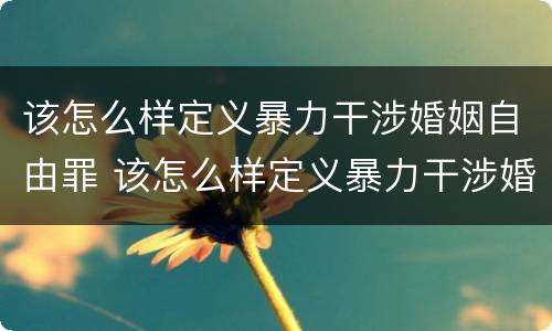 该怎么样定义暴力干涉婚姻自由罪 该怎么样定义暴力干涉婚姻自由罪呢