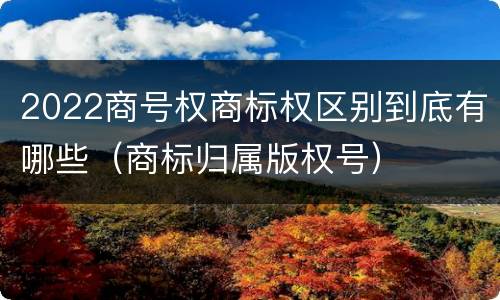 2022商号权商标权区别到底有哪些（商标归属版权号）
