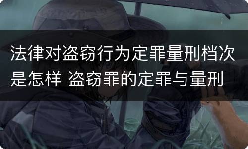 法律对盗窃行为定罪量刑档次是怎样 盗窃罪的定罪与量刑