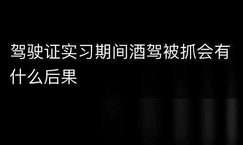 驾驶证实习期间酒驾被抓会有什么后果