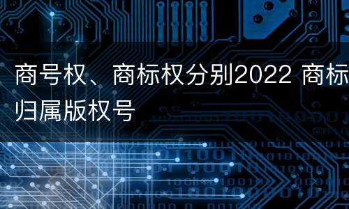 商号权、商标权分别2022 商标归属版权号
